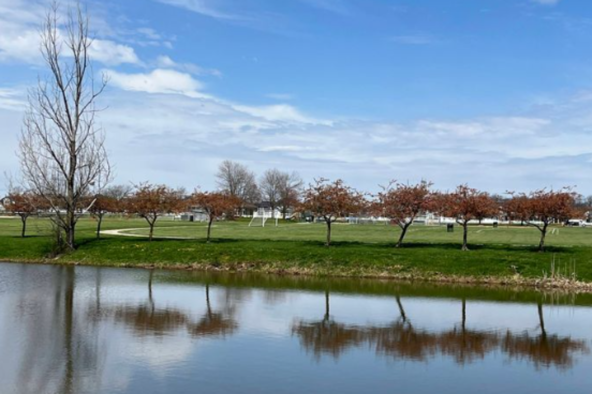 Scenic view of Liberty Park featuring a row of trees reflecting in a calm pond under a blue sky in Delaware, Ohio.
