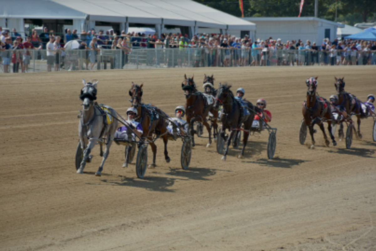 Little Brown Jug