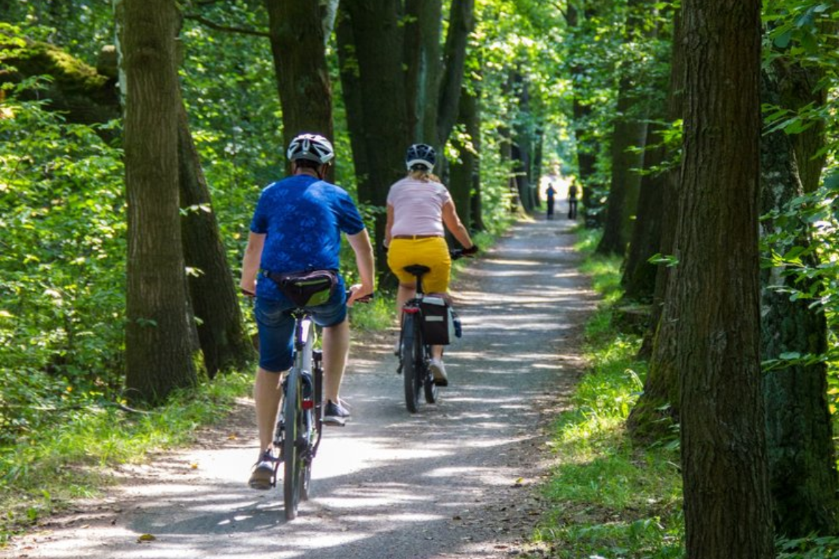 Two people riding bicycles down a shaded, tree-lined section of the Ohio to Erie Trail.