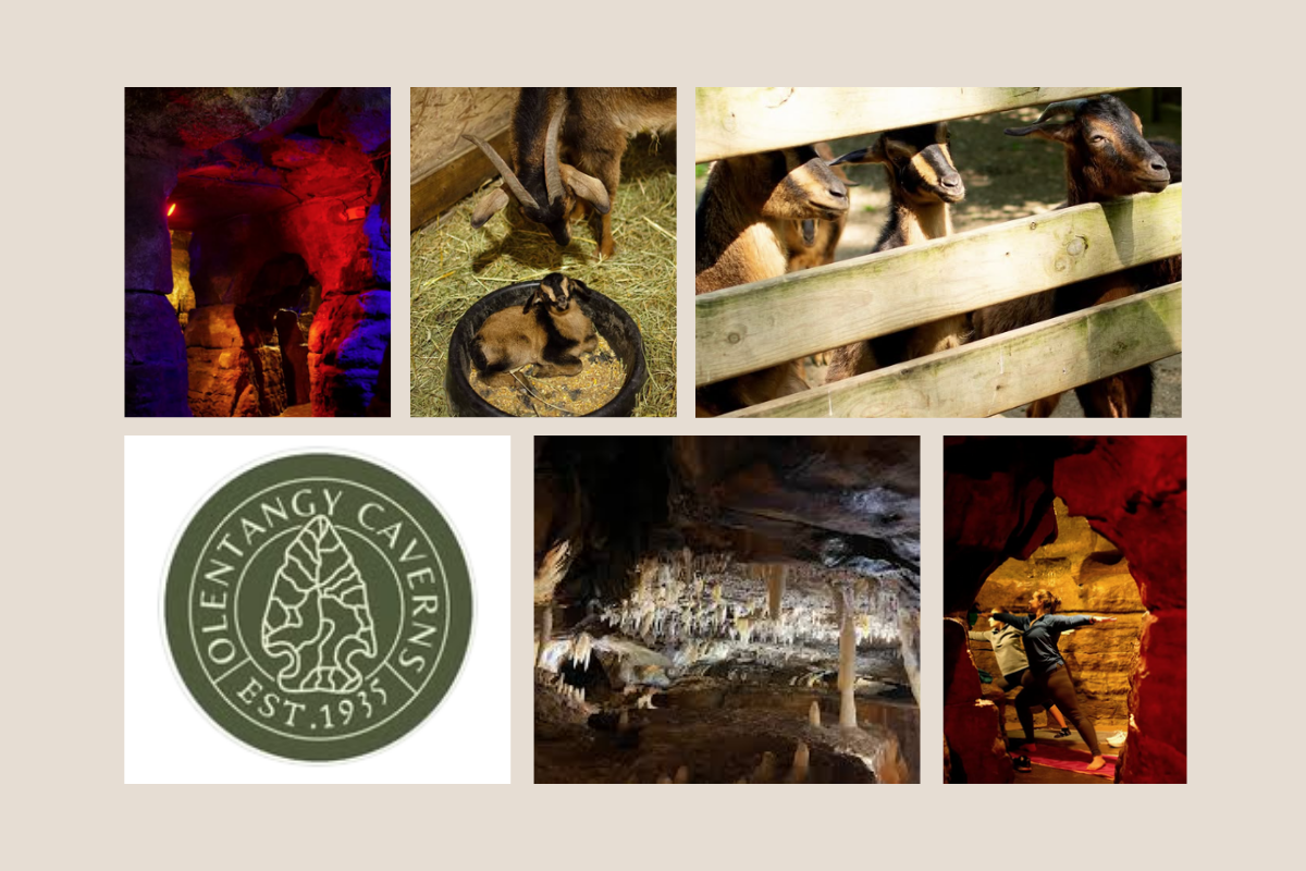 Collage of Olentangy Caverns in Ohio showing cave stalactites, the petting zoo goats, and the official logo.