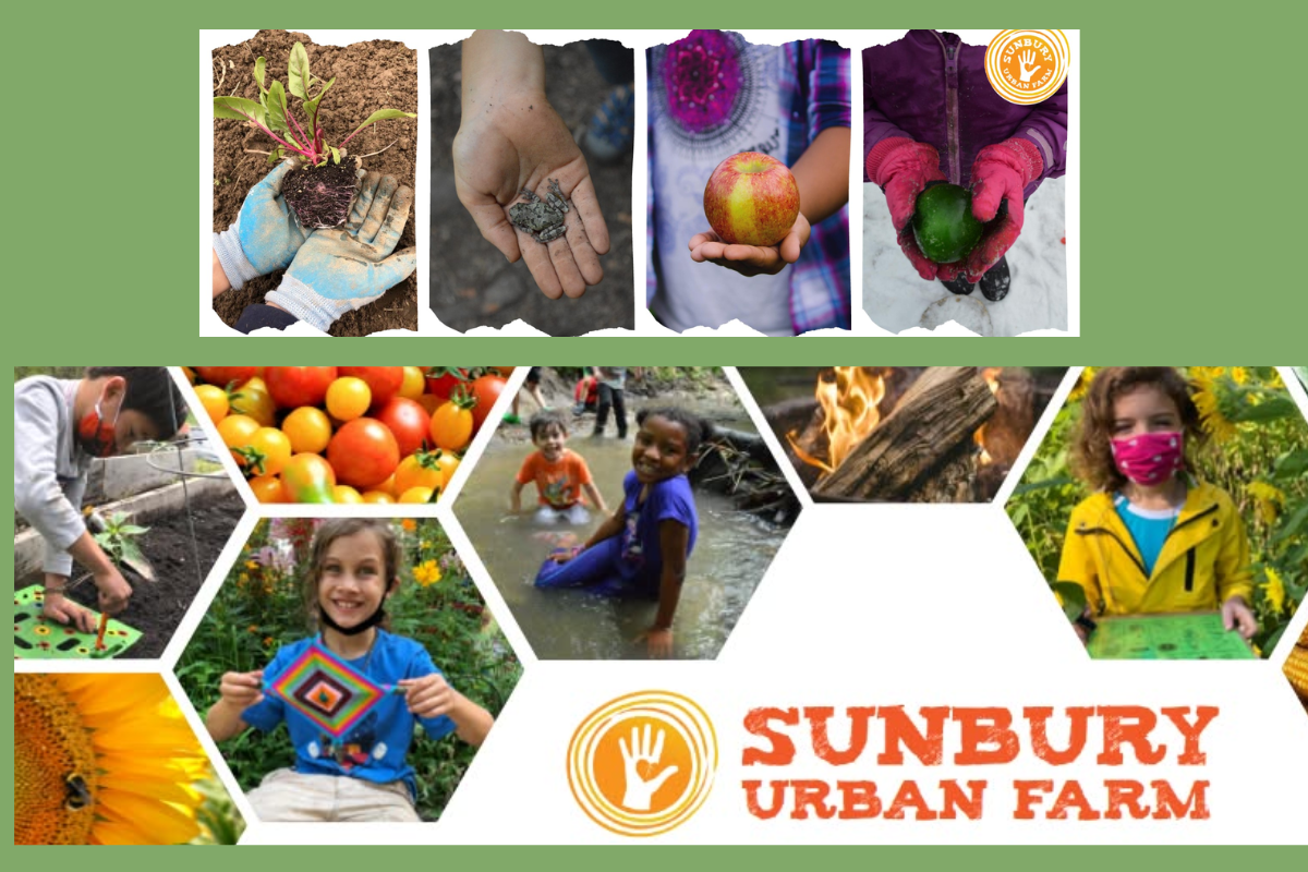 Photo collage for Sunbury Urban Farm featuring children gardening, fresh produce, and outdoor nature activities.