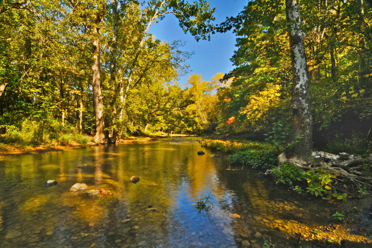 A scenic view of the river flowing through lush green trees at Battelle Darby Creek Metro Park.