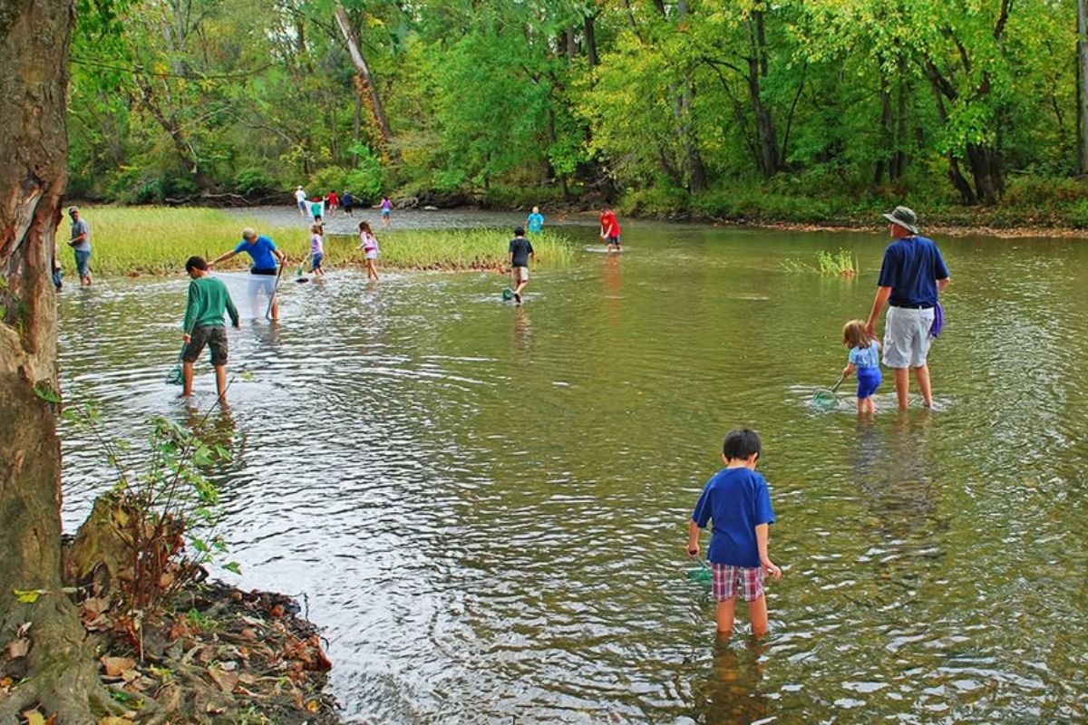 Families wading and exploring Big Darby Creek in Plain City.