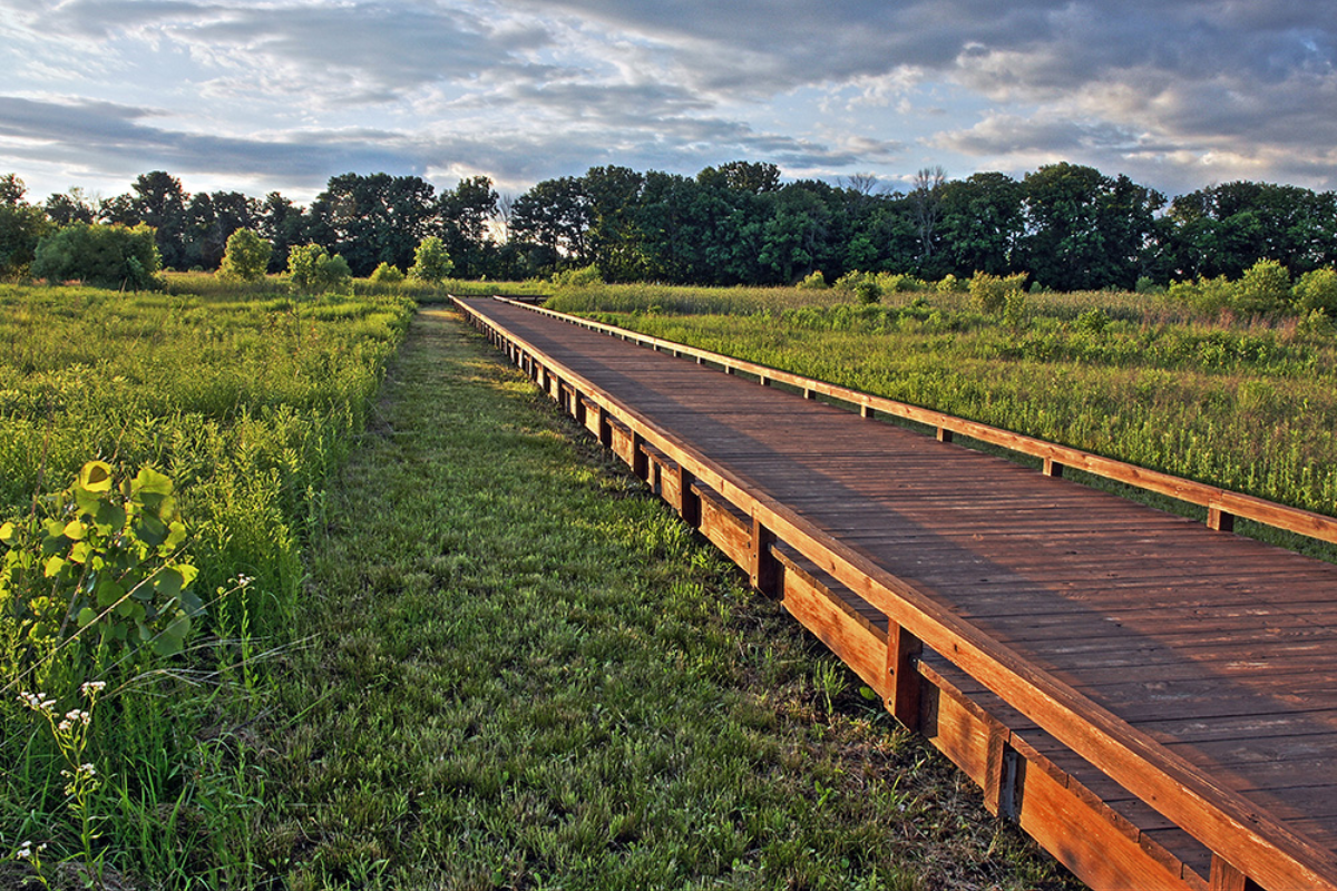 A long wooden boardwalk trail extending through the grassy wetlands of Glacier Ridge Metro Park.