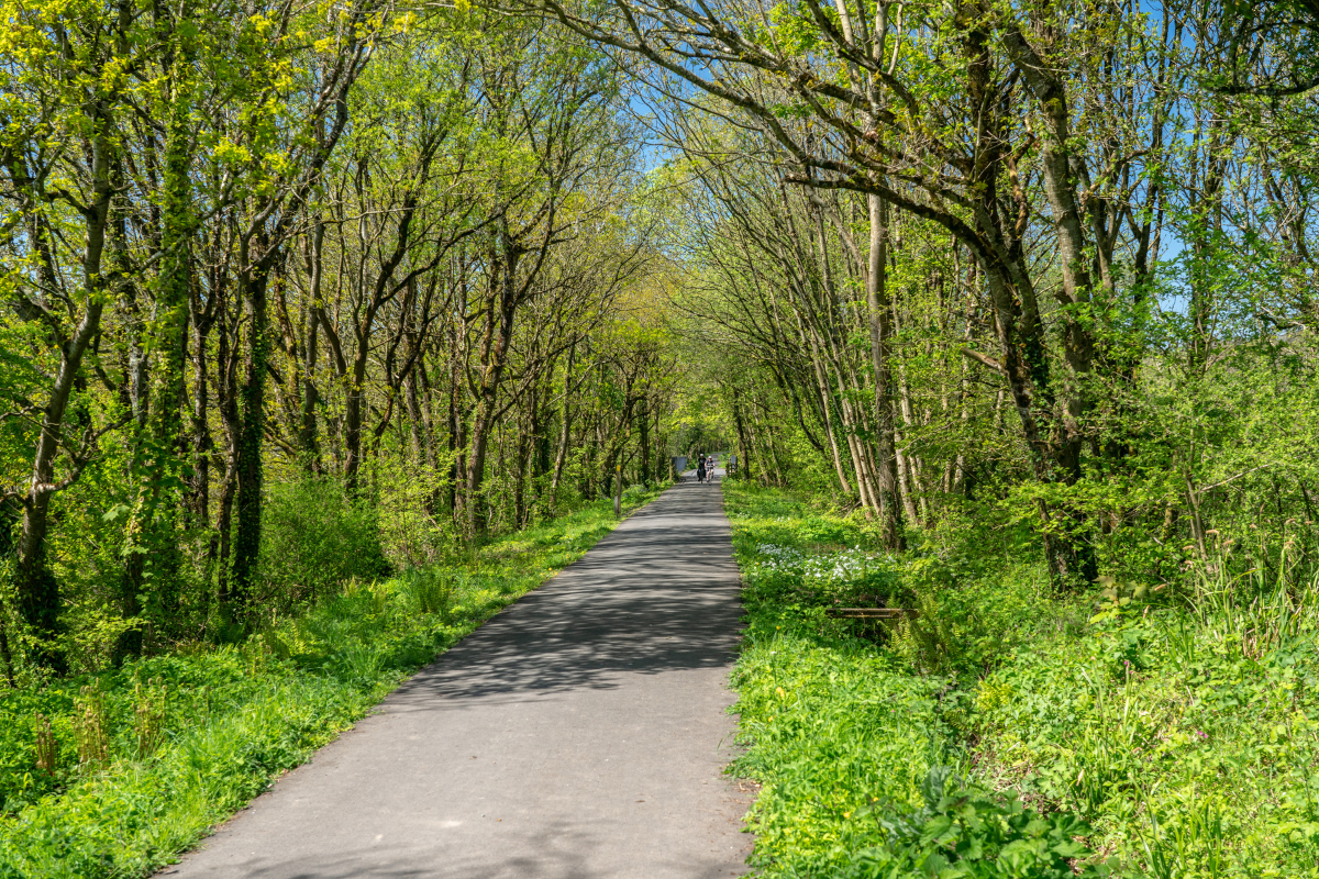Paved walking and biking path on the Heritage Rail Trail surrounded by a canopy of green trees.